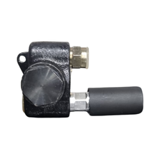 Carregar imagem no visualizador da galeria, Bomba Alimentadora De Mwm D226 Pistão